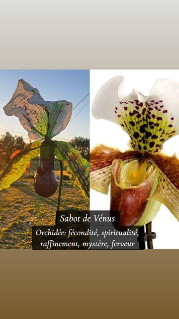 Réalisation florale 16